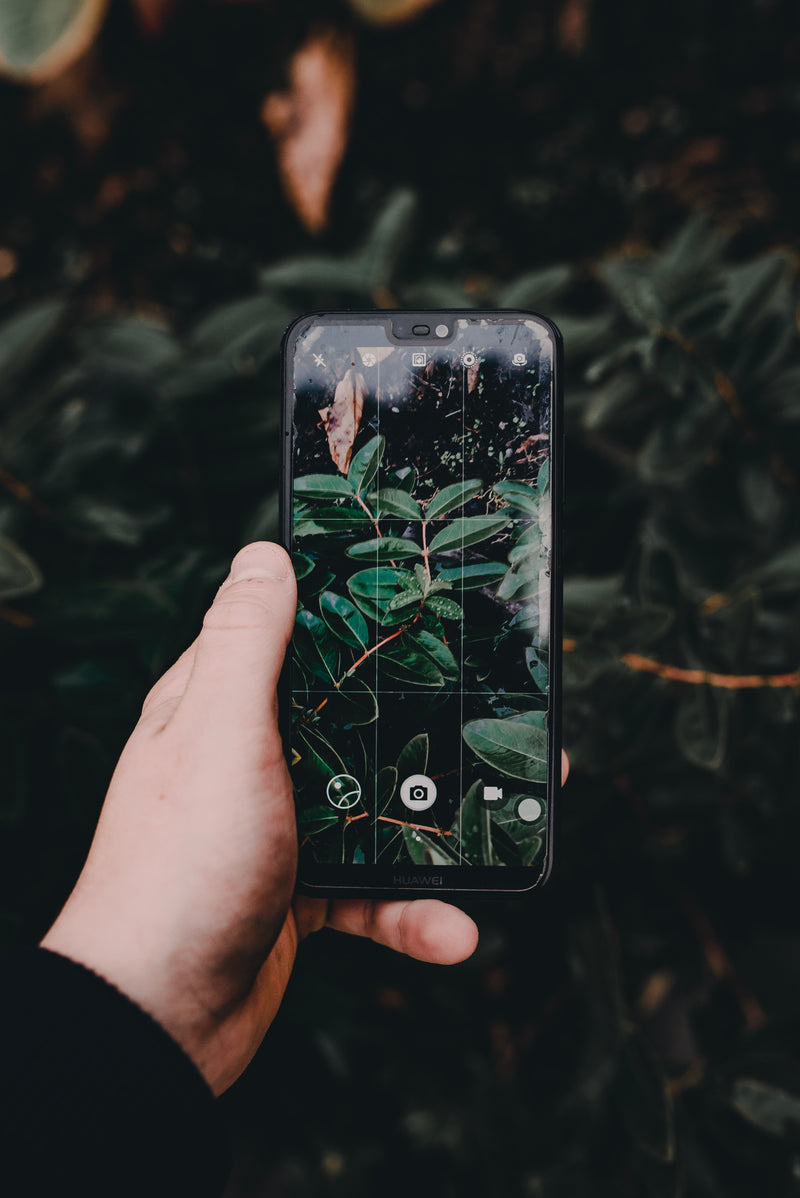 How Eco Friendly (Or Not) Are Smartphones?